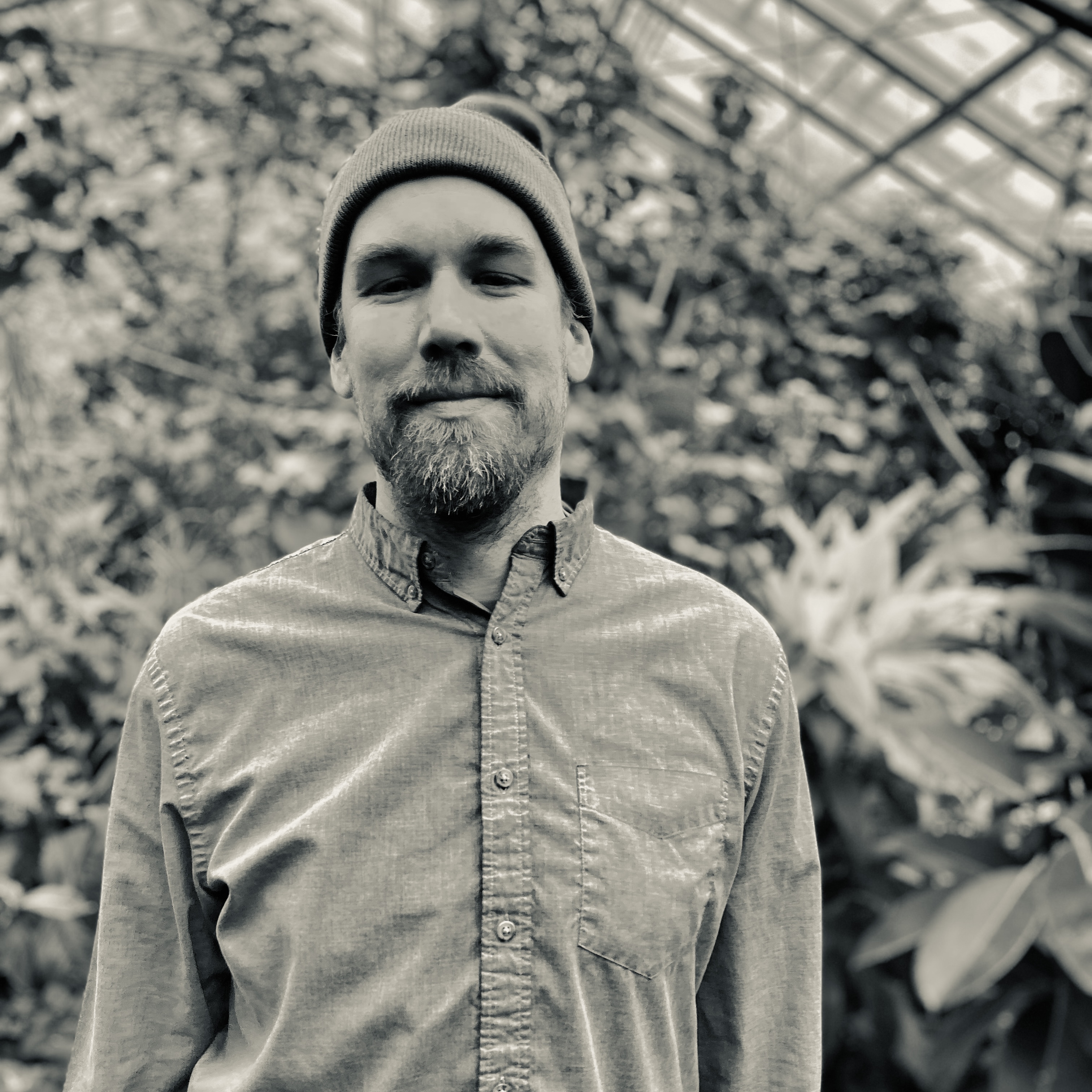 Adam Kirsch Portrait