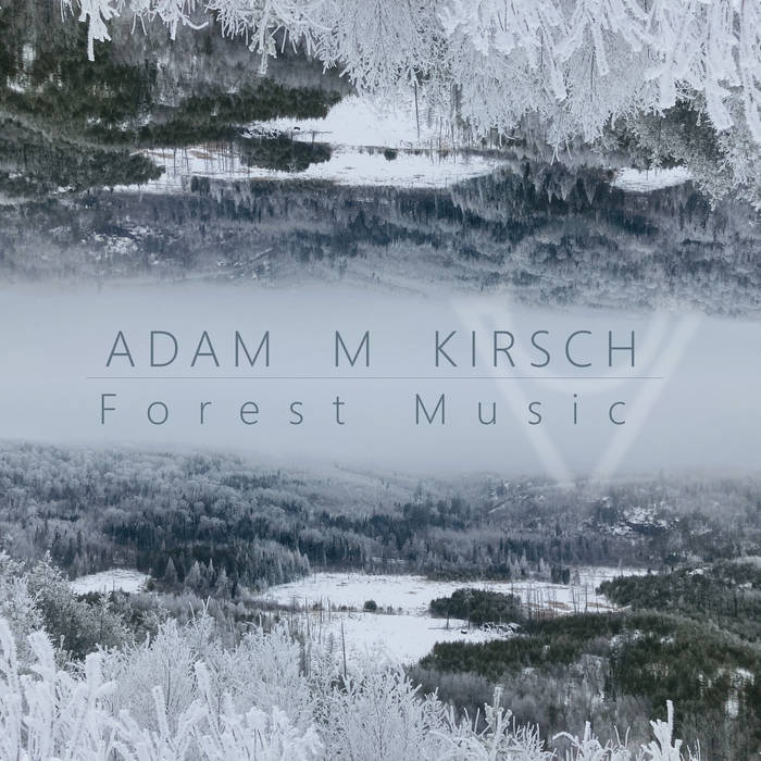 Forest Music Album Cover