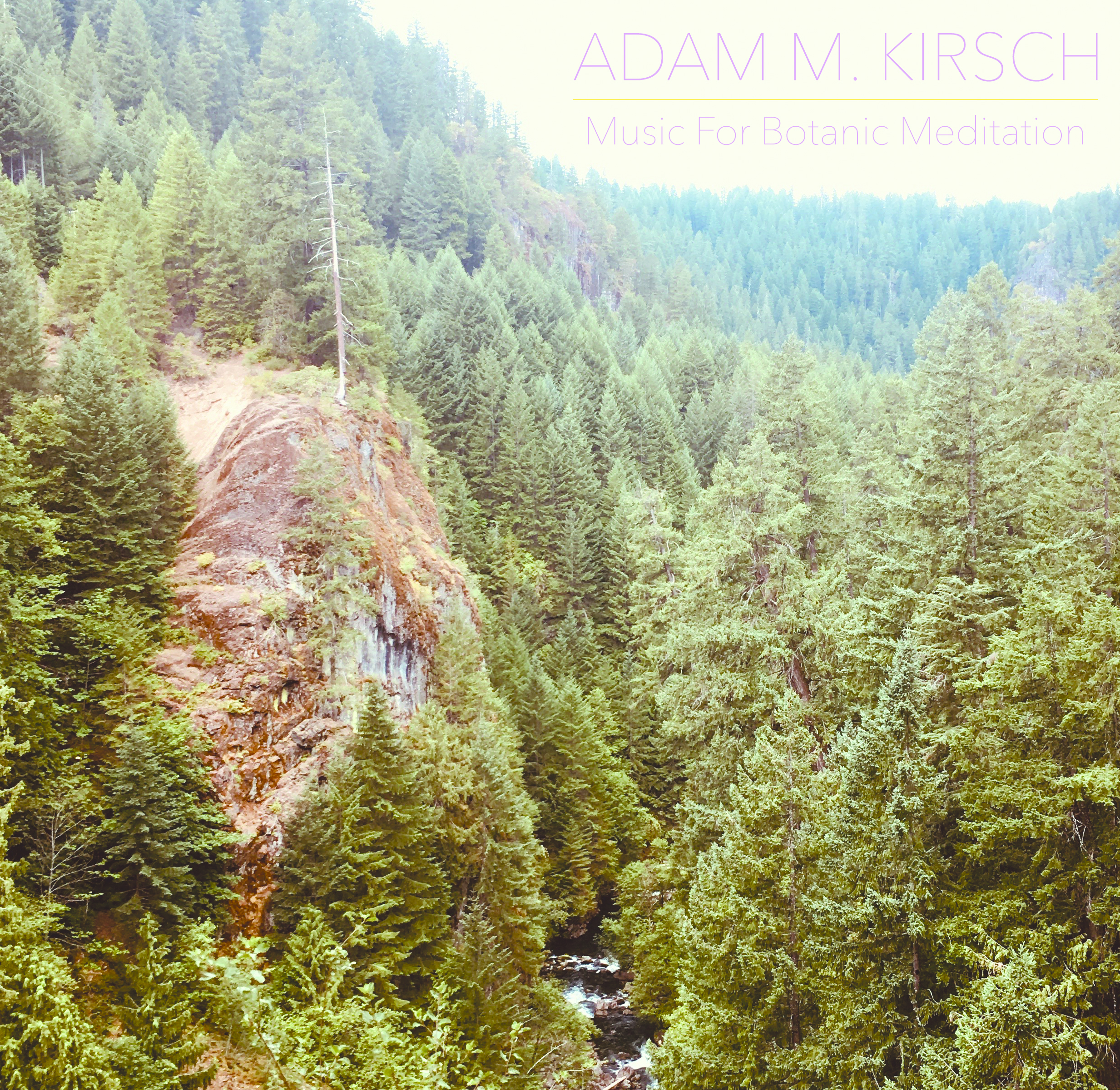 Music For Botanic Meditation Album Cover